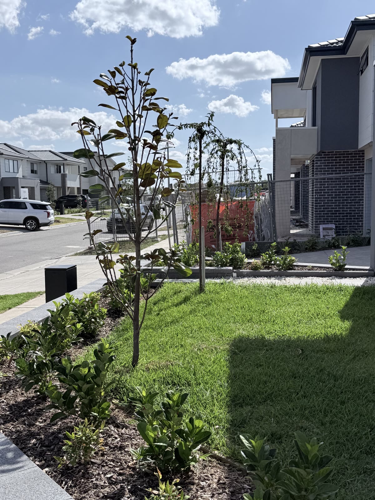 Landscaped front yard with new turf and garden beds