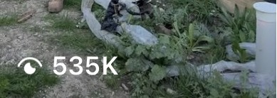 535,000 views on the original post